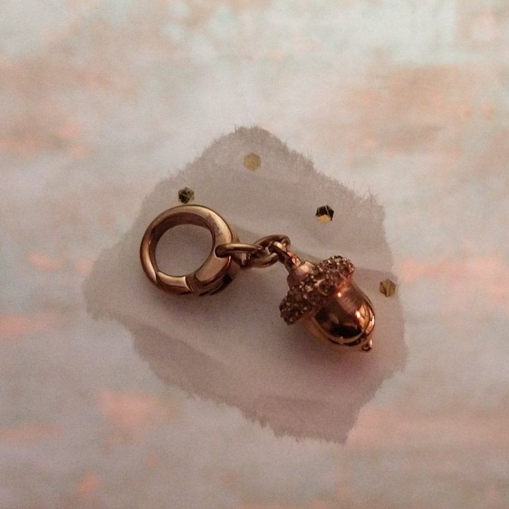 Fossil Charm or pendant, Acorn, rose gold stainless steel